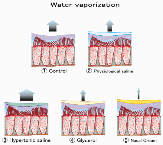 WaterVaporization